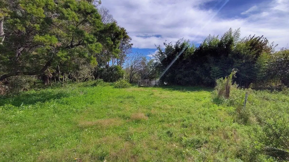 Venta en Bloque de 2 Lotes en Escobar – 5 Hectáreas 4