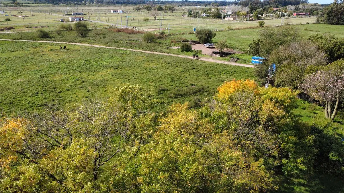 Venta en Bloque de 2 Lotes en Escobar – 5 Hectáreas 3