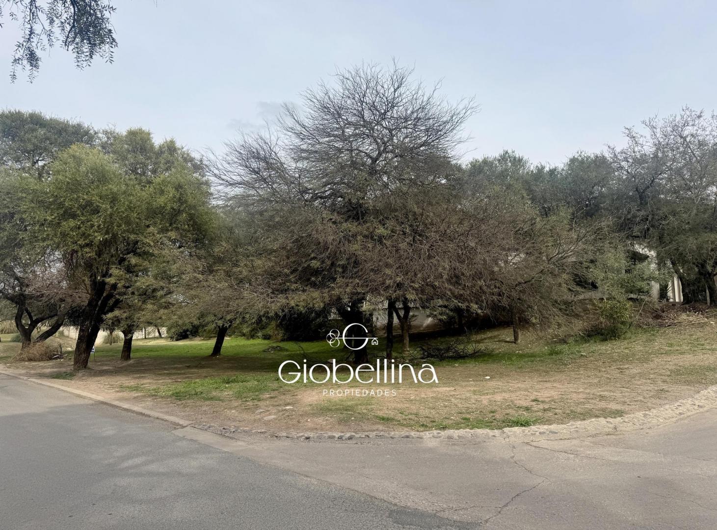 Foto de Lote esquina en venta en Country La Rufina 974 m2. Frente Norte, imagen 4