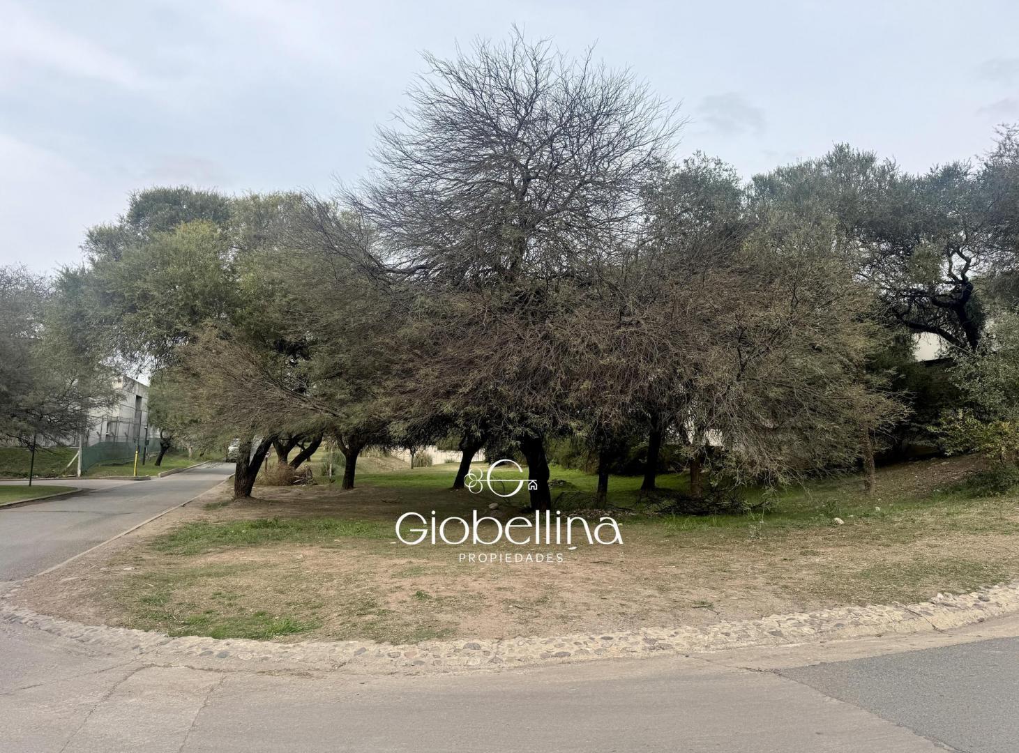 Foto de Lote esquina en venta en Country La Rufina 974 m2. Frente Norte, imagen 2