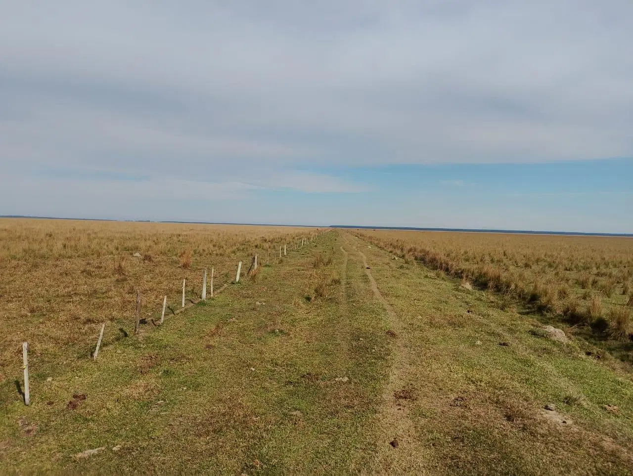 VENTA DE CAMPO EN CORRIENTES 3