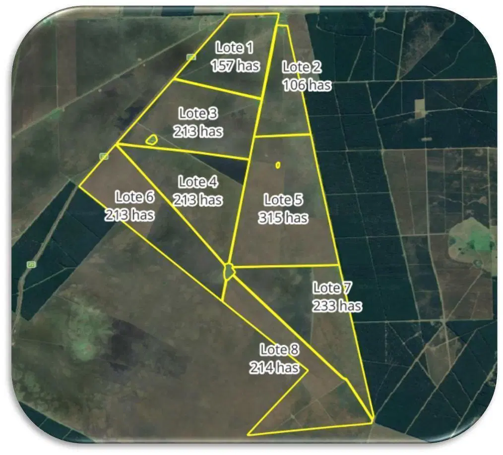 VENTA DE CAMPO EN CORRIENTES 4