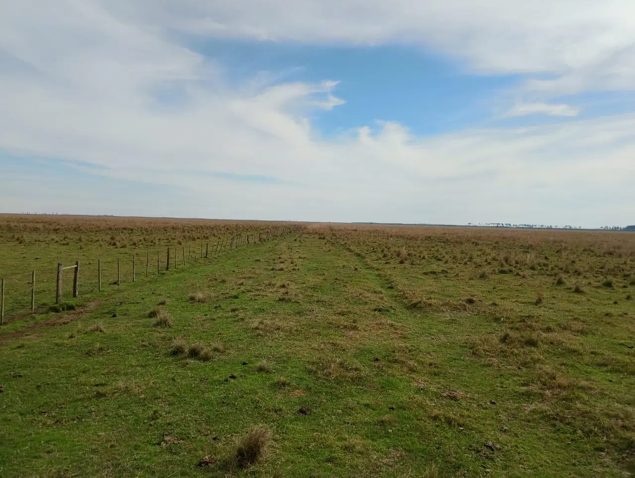 VENTA DE CAMPO EN CORRIENTES 5