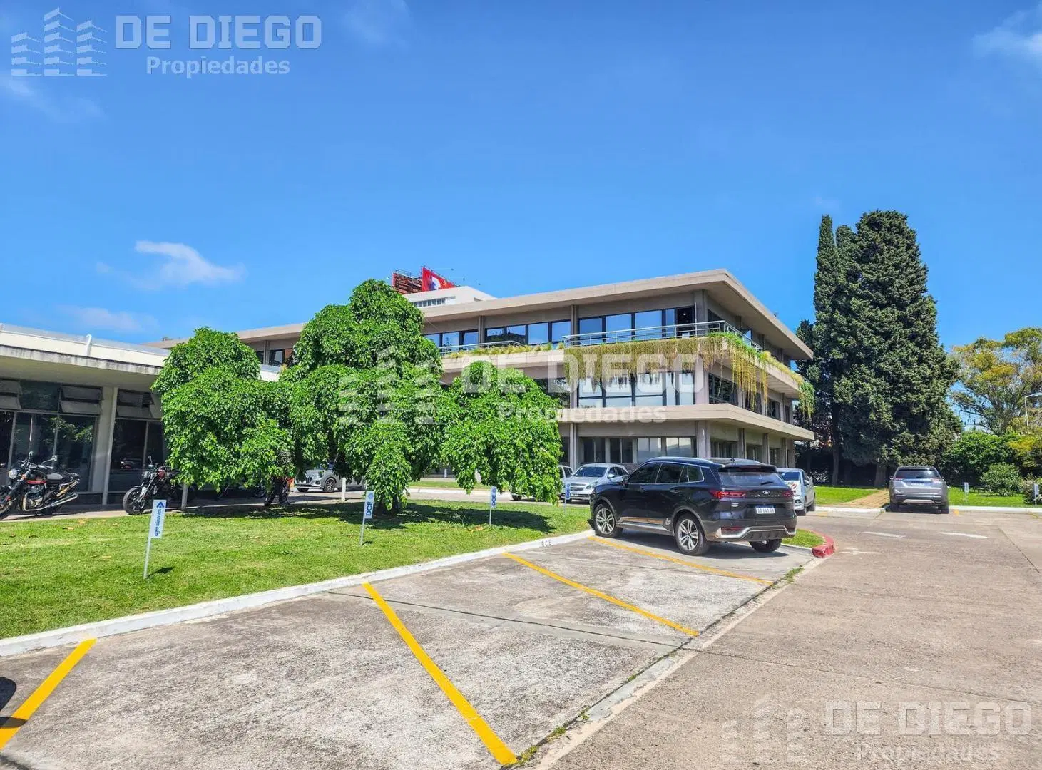 Deposito en alquiler 439 m2, predio con seguridad, Olivos Vicente Lopez 4
