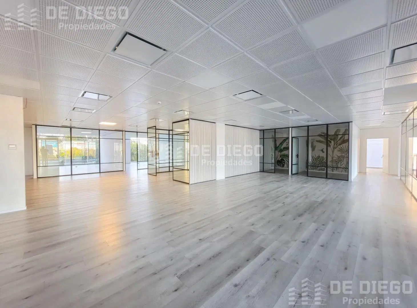 Oficina de 704 m2 en alquiler edificio corporativo Lumina Florida II, Vicente López 2