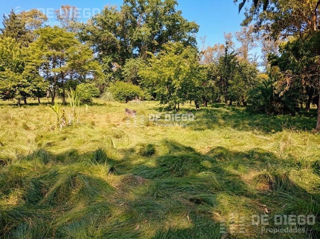Foto de En venta Fracción de 10.497 m2, Garín., imagen 5