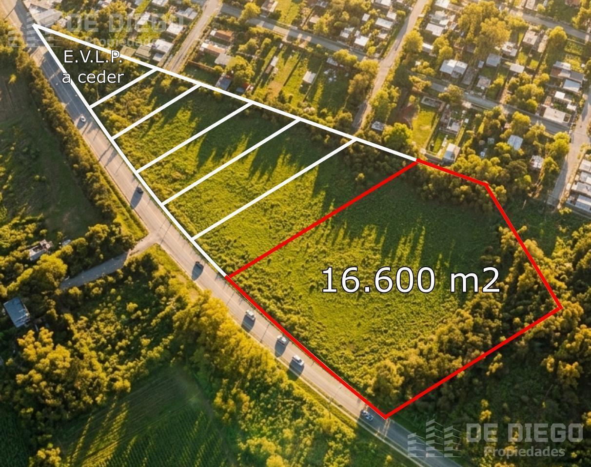 Foto de Venta Fracción y Lotes Comerciales / Residenciales sobre Ruta 234, imagen 4
