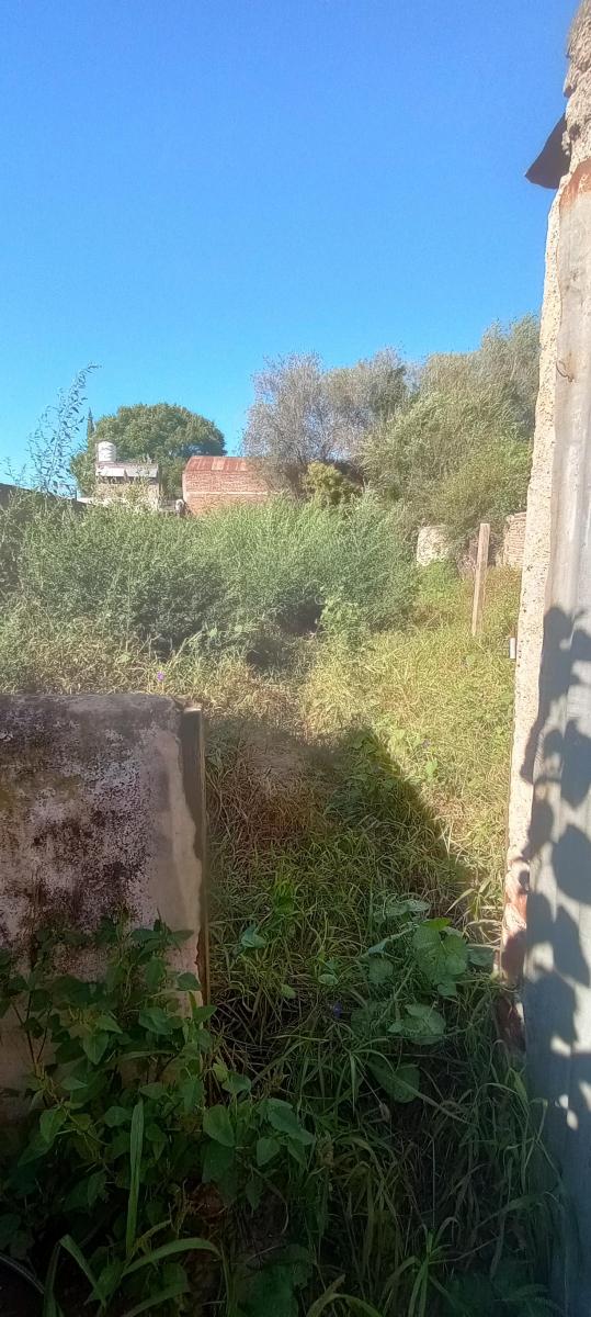 Vendo Importante Inmueble en Macrocentro Oeste 4