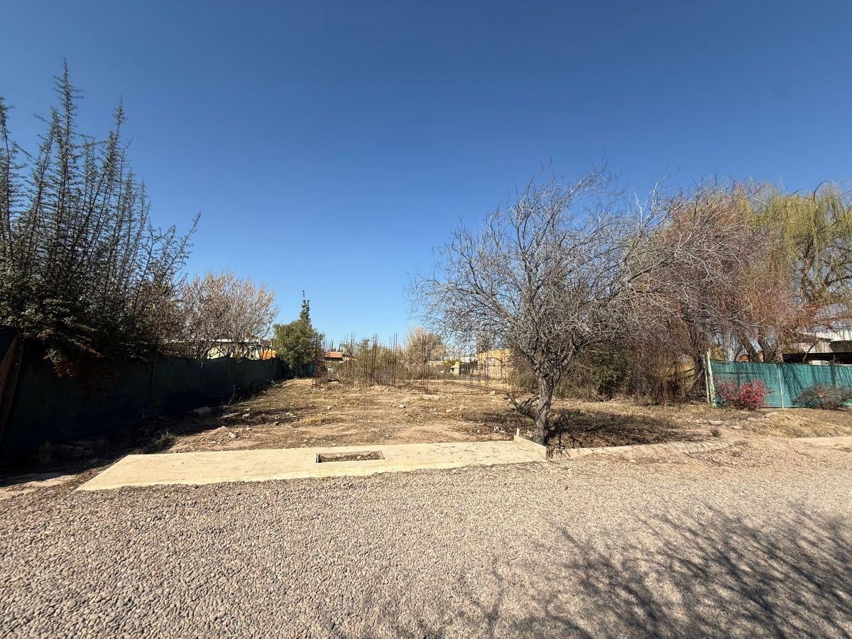 Foto de LOTE EN VENTA - CHACRAS DE CORIA - LUJAN DE CUYO, imagen 2