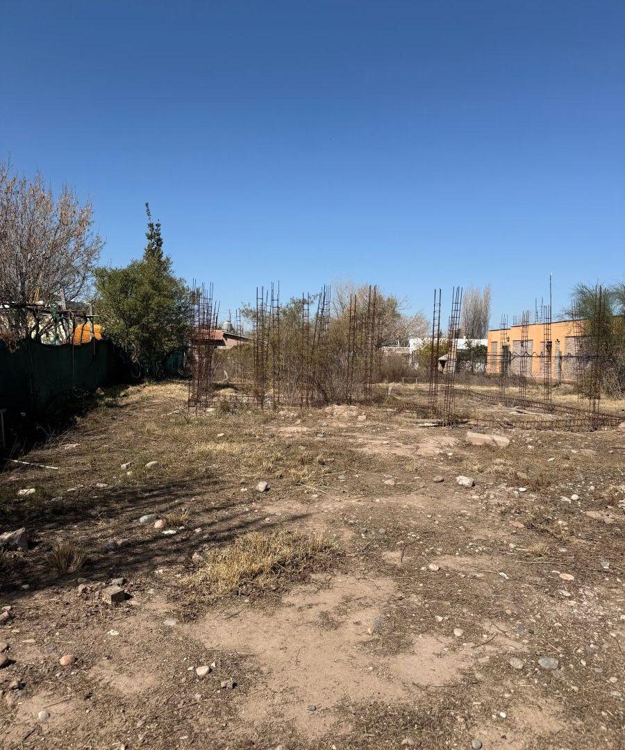 Foto de LOTE EN VENTA - CHACRAS DE CORIA - LUJAN DE CUYO, imagen 5