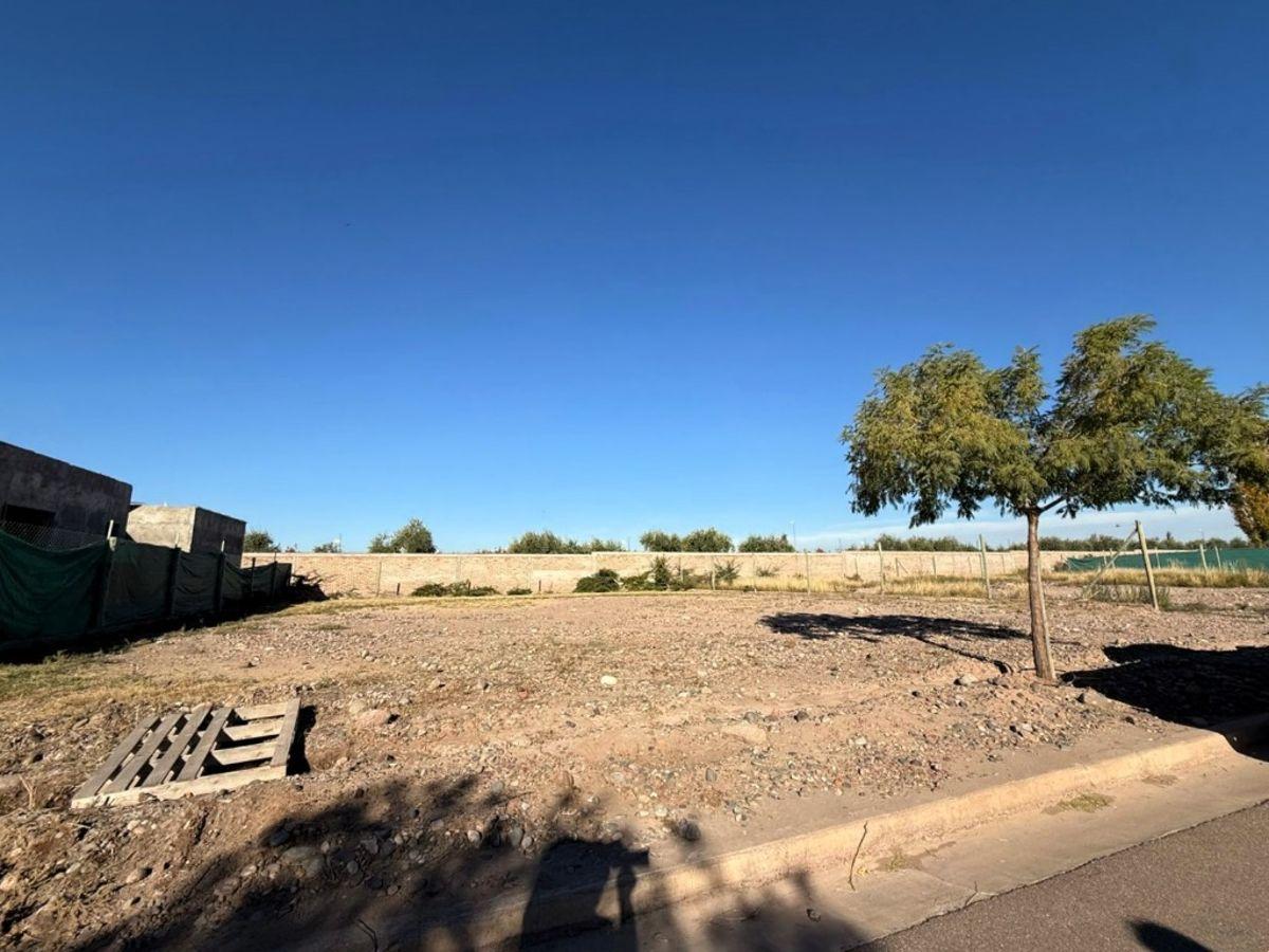 Foto de TERRENO EN VENTA - TERRAZAS PARK MAIPU, imagen 1