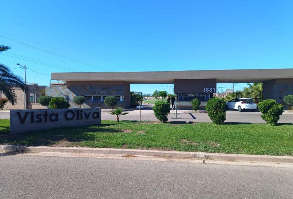 Foto de LOTE CENTRAL EN VENTA - VISTA OLIVA - MAIPU, imagen 2