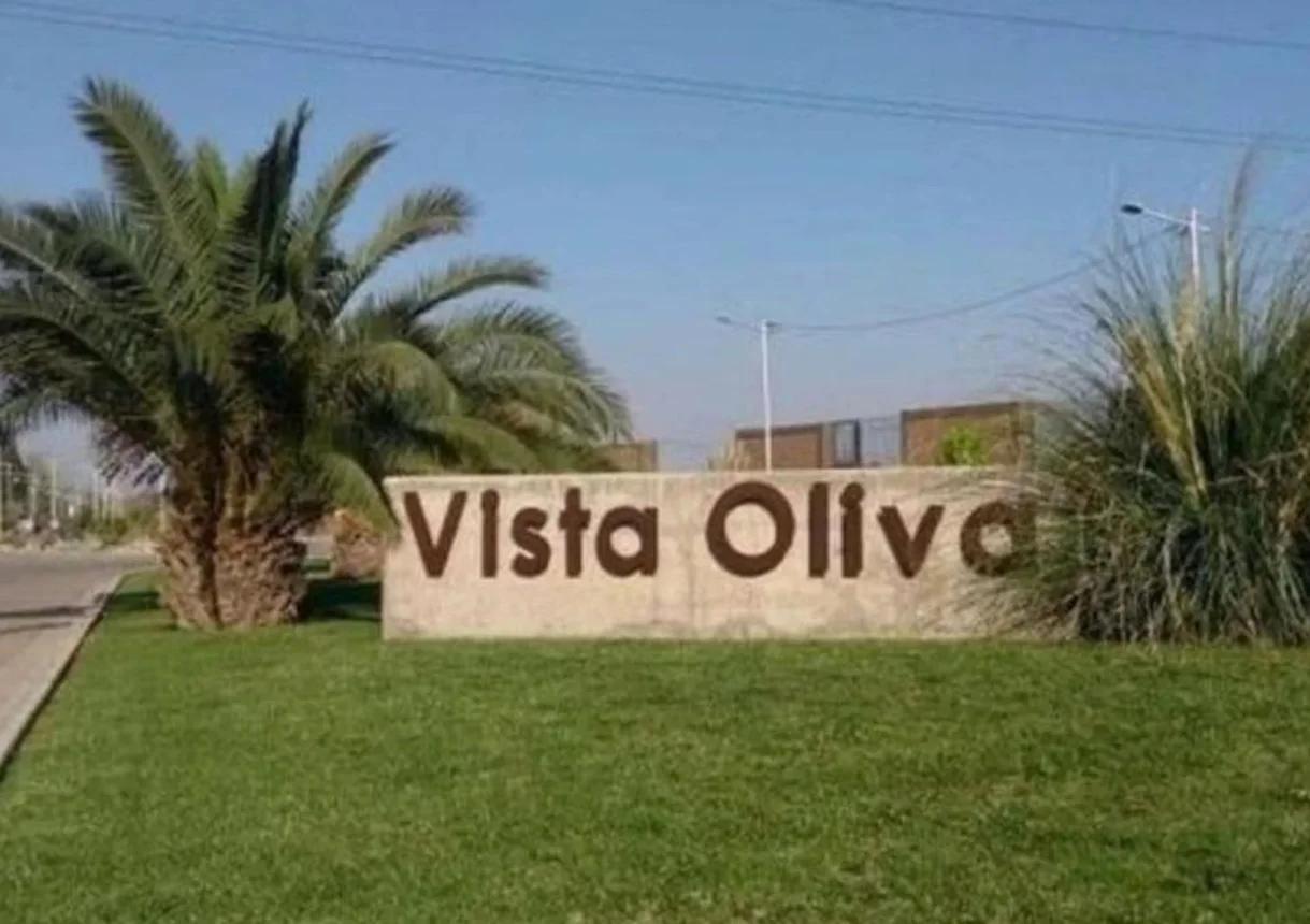 Foto de LOTE CENTRAL EN VENTA - VISTA OLIVA - MAIPU, imagen 3