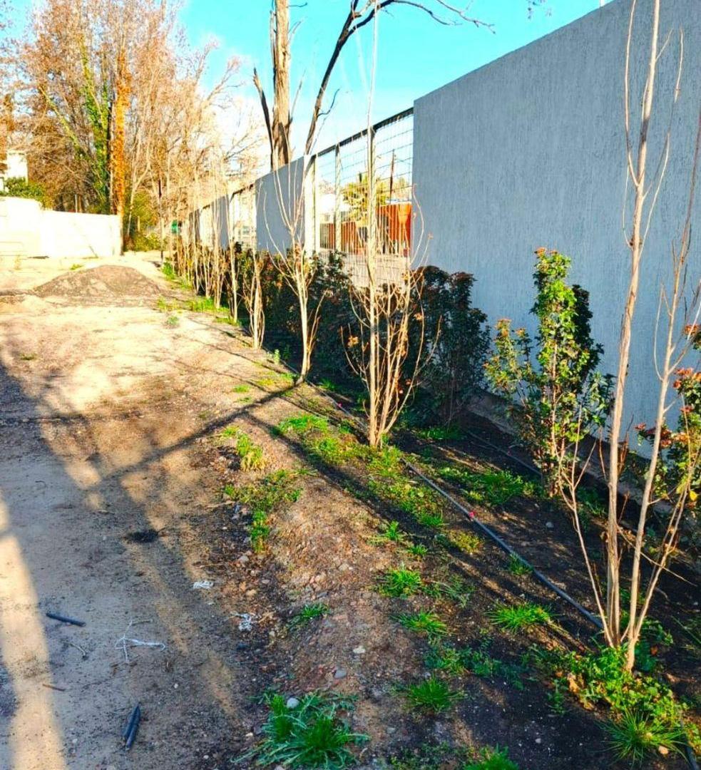 Foto de LOTE APTO COMERCIAL Y PH | Corazón de Chacras de Coria, imagen 4