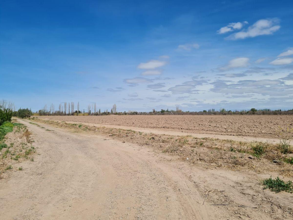 Foto de FINCA DE 12,9 HECTÁREAS | Maipú, imagen 4