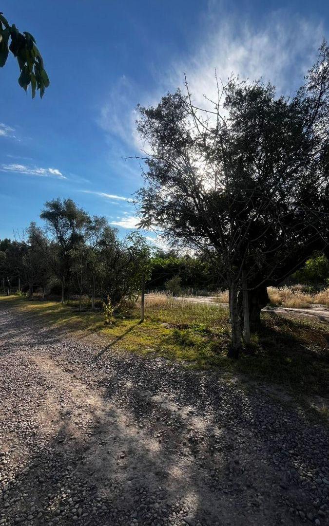 Foto de LOTE DE 1.000 m² EN CALLE LARREA | Chacras de Coria, imagen 4