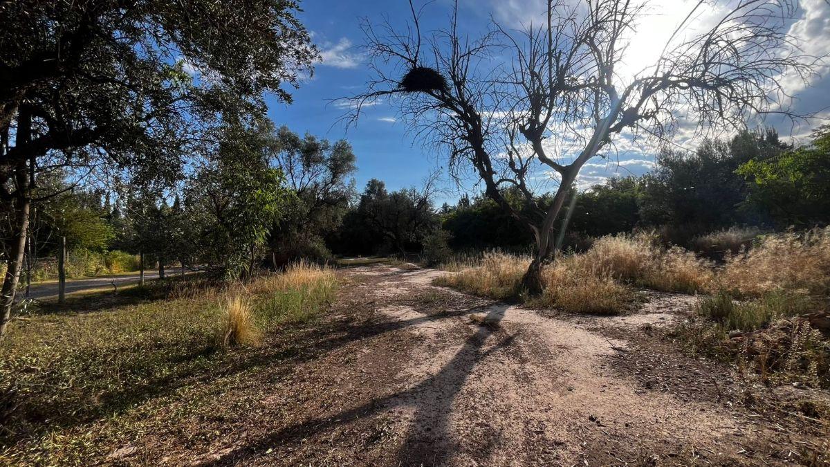 Foto de LOTE DE 1.000 m² EN CALLE LARREA | Chacras de Coria, imagen 5