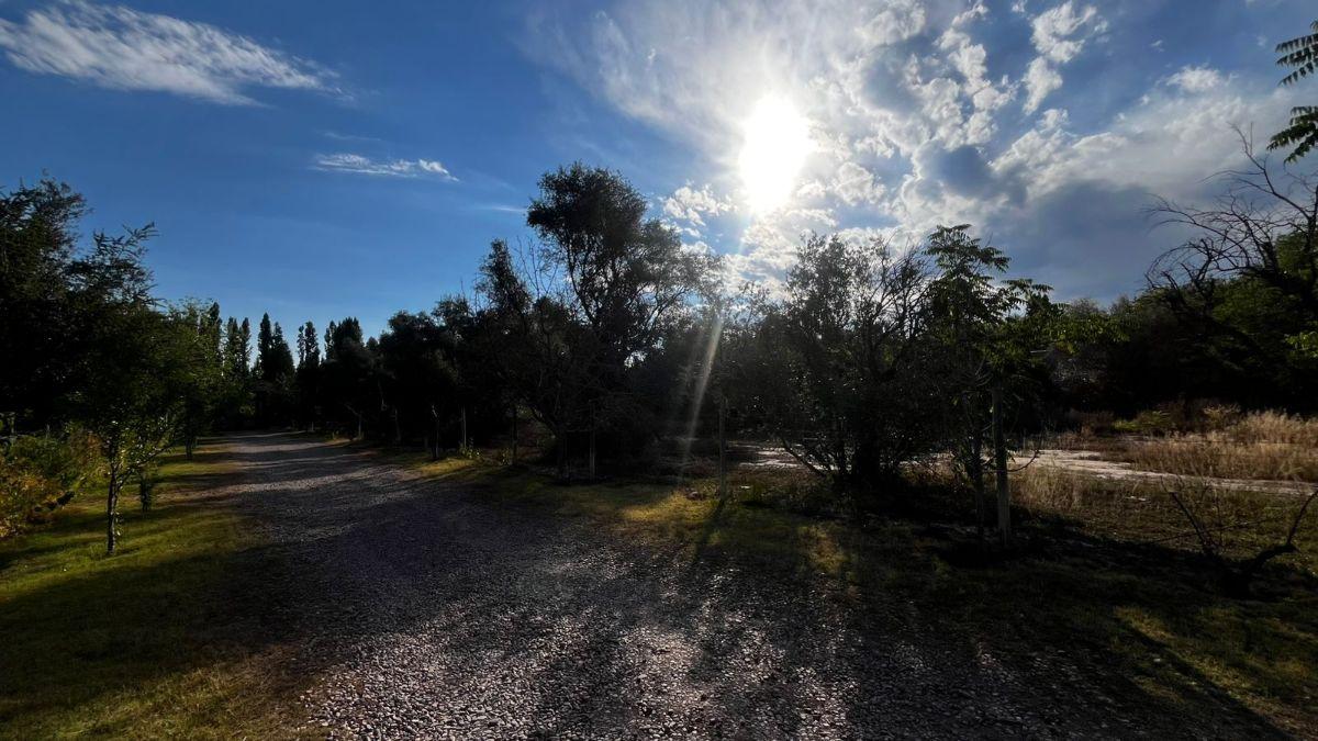 Foto de LOTE DE 1.000 m² EN CALLE LARREA | Chacras de Coria, imagen 1