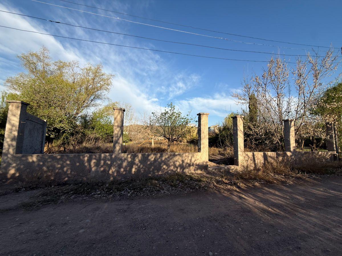 Foto de TERRENO DE 2.020 m² | Callejón Los Álamos, Perdriel, Luján de Cuyo, imagen 4