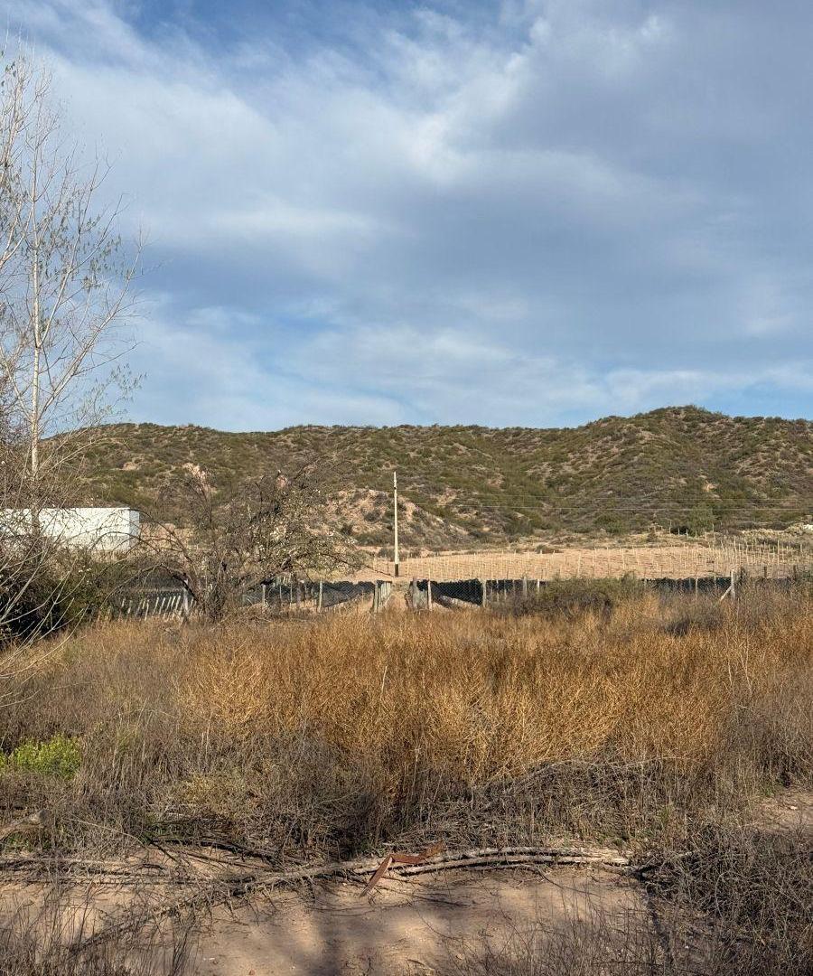 Foto de TERRENO DE 2.020 m² | Callejón Los Álamos, Perdriel, Luján de Cuyo, imagen 2