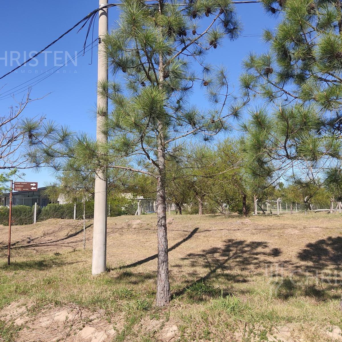 Terreno en Venta en Lomas de San Jose 1