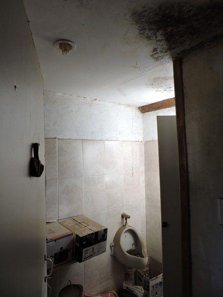 Vivienda 2 Ambientes y Construccion de Madera - Las Gaviotas 5