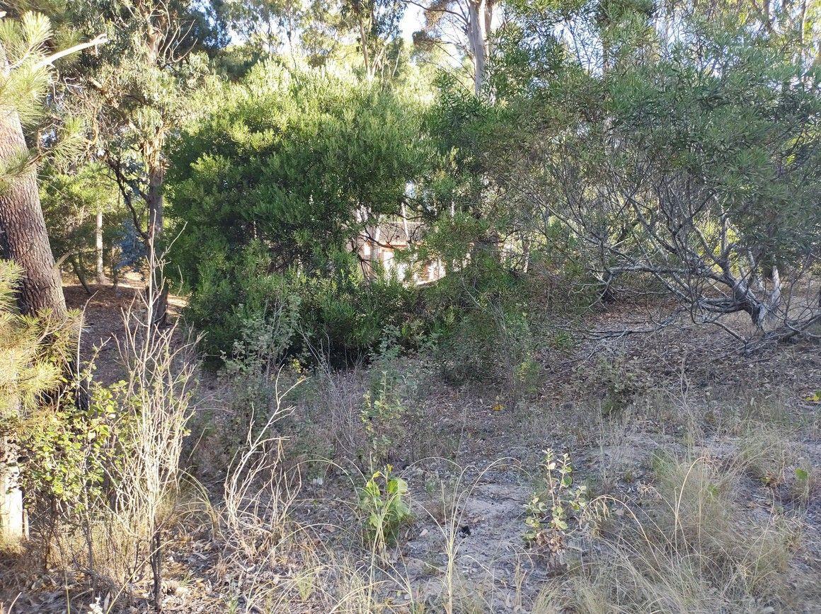 Lote. | Necochea Al 300 1