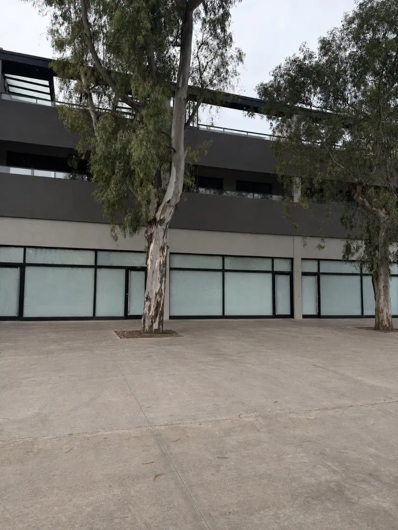 Local en alquiler comercial en Ayres del sur 4