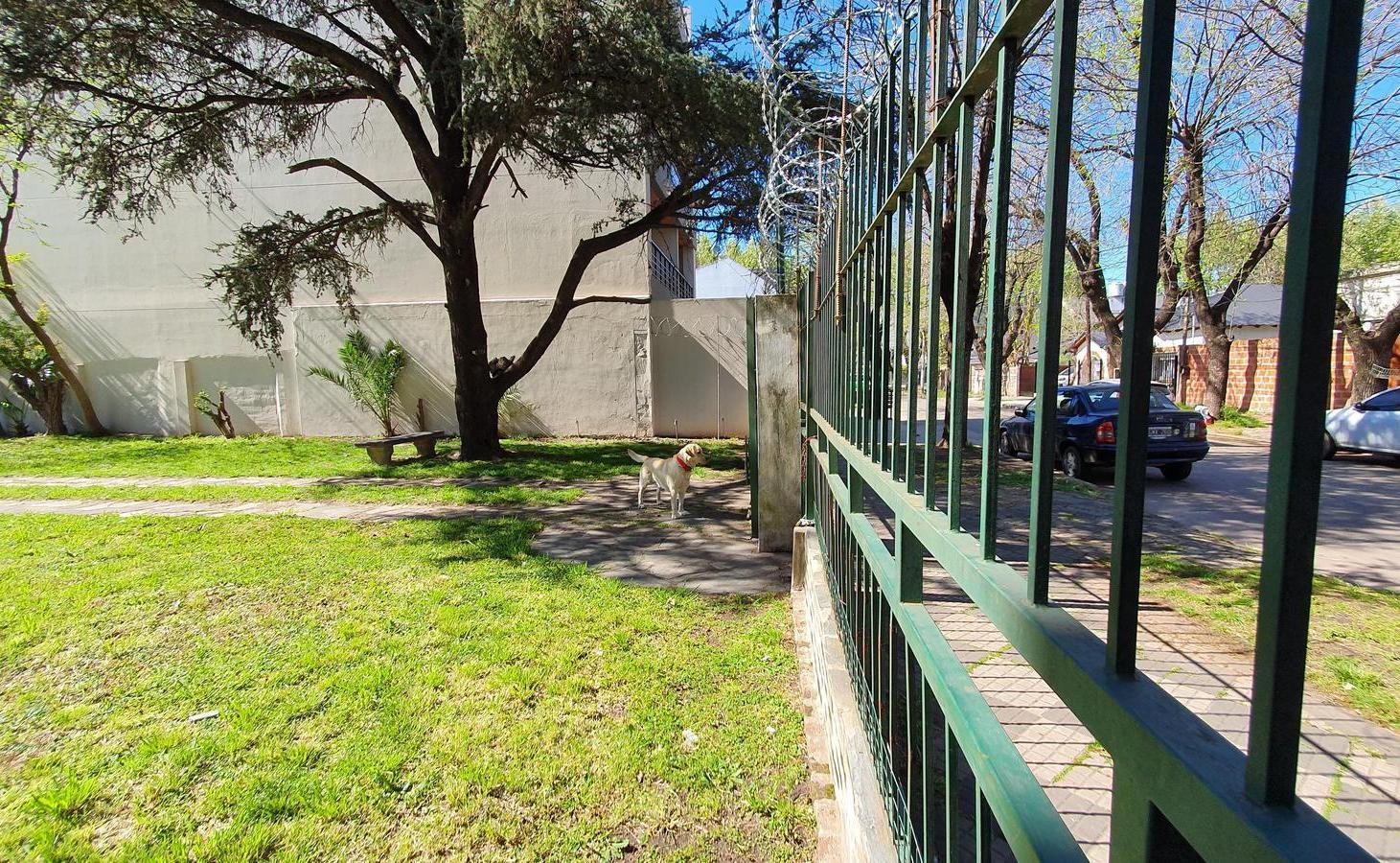 Foto de IMPERDIBLE CASA CON GRAN TERRENO !!!, imagen 3