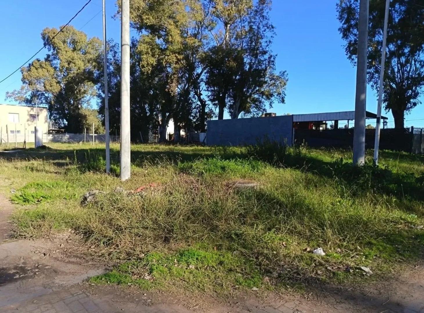 Foto de Lote/terreno en venta en Tristian Suárez, imagen 4