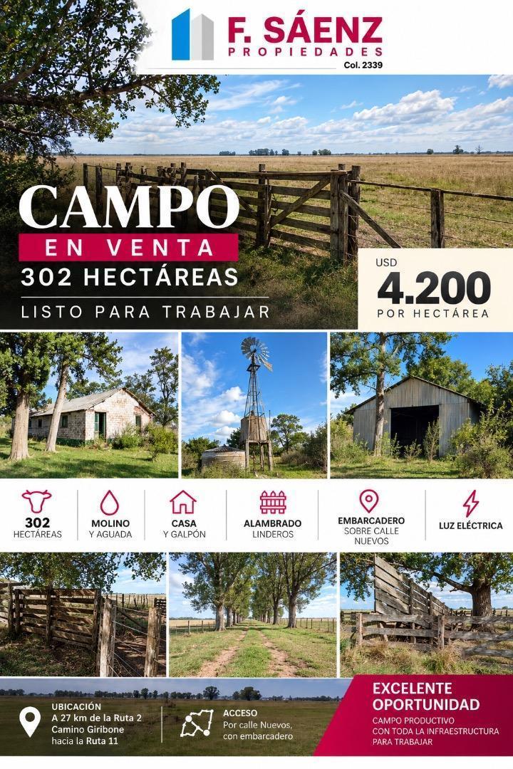 Campo en venta por hectárea - Chascomus -312 hectáreas