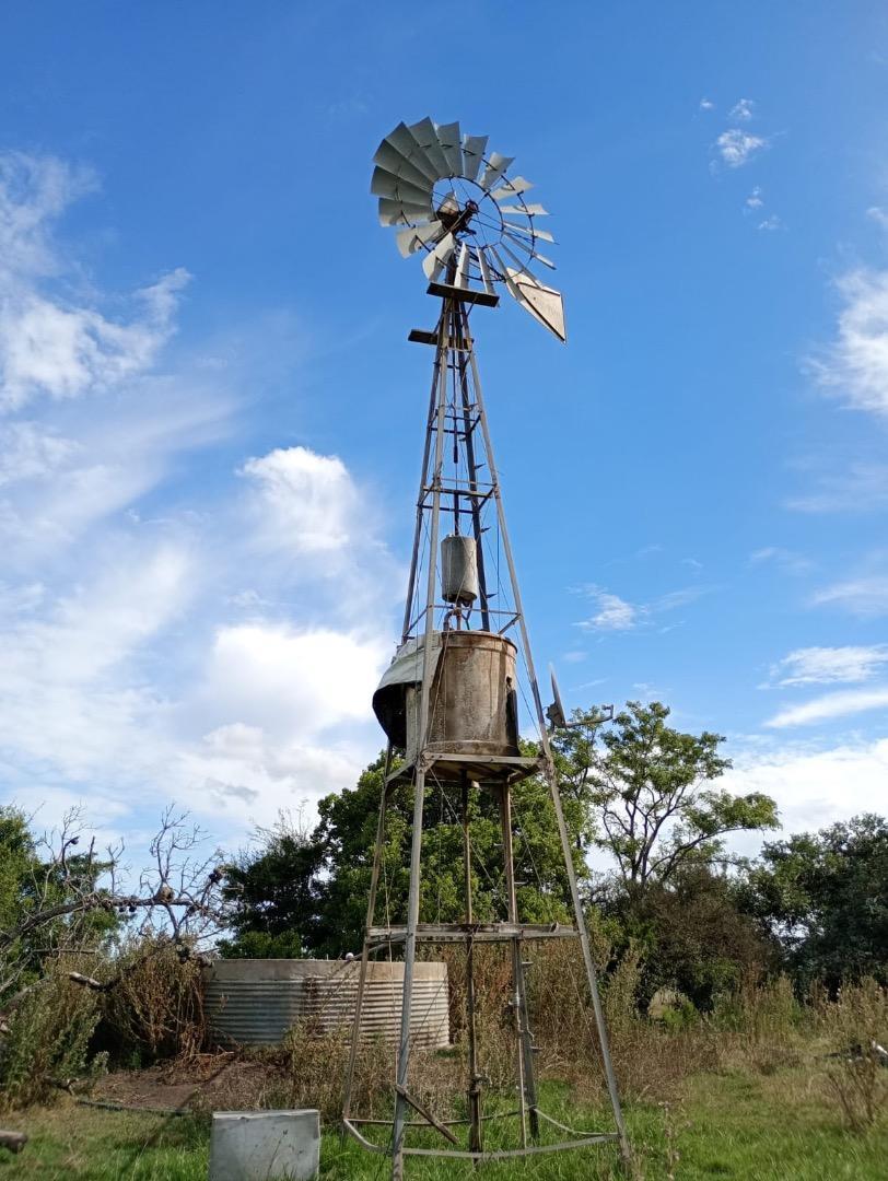 Foto de Campo en venta por hectárea - Chascomus -312 hectáreas, imagen 2