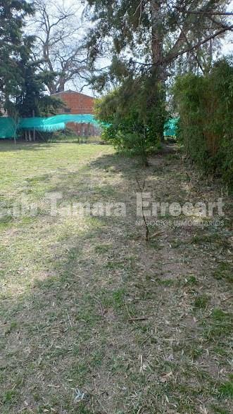 Casa Quinta en Venta en Moreno, G. B. a. Zona Oeste, Argentina 3