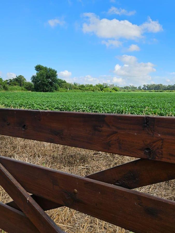 Campo en Montevera 8.54 Ha 2