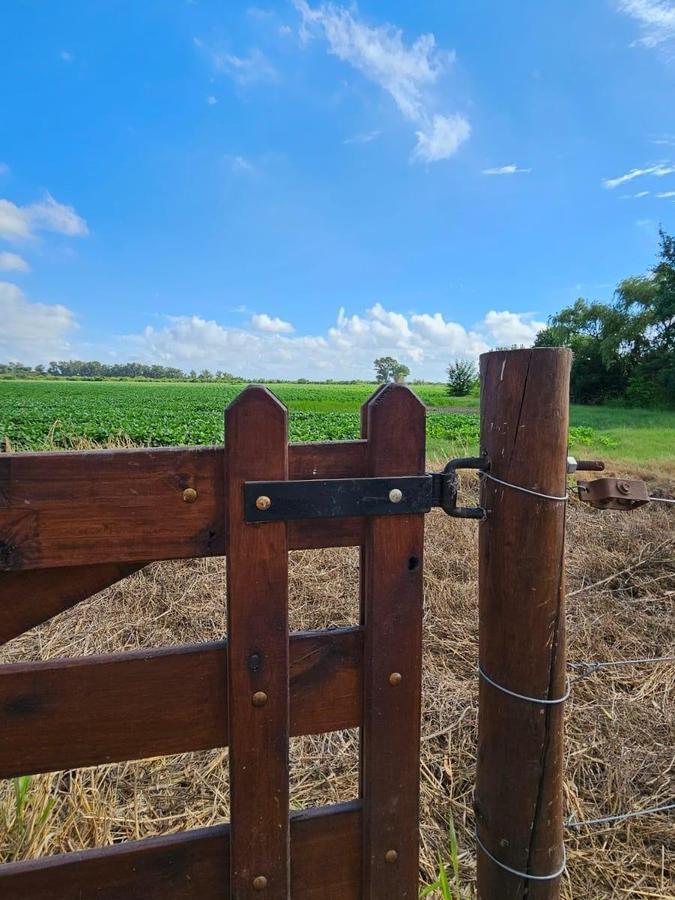 Campo en Montevera 8.54 Ha 3