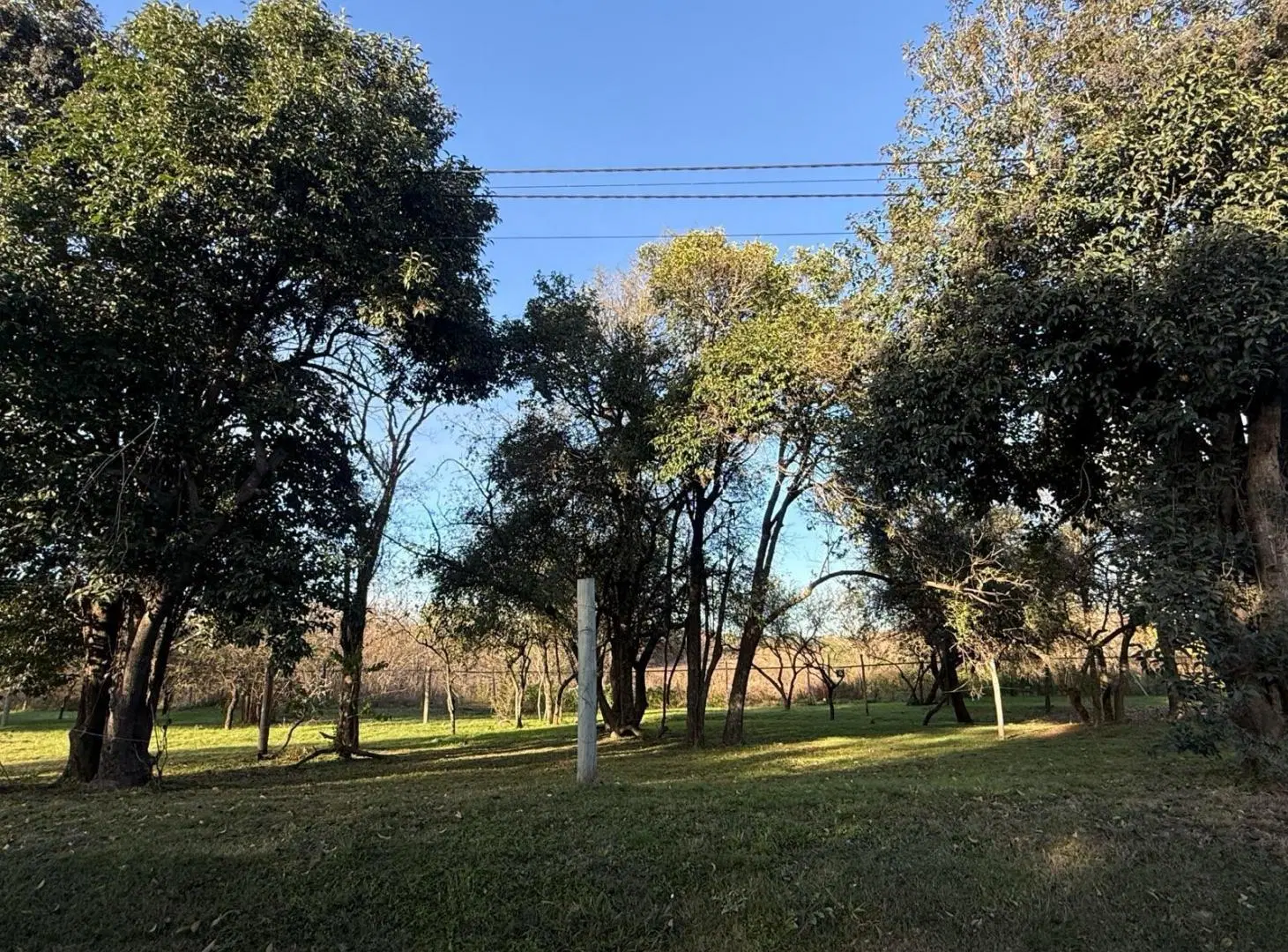 VILLA CATALINA - 450 METROS - ESCRITURA - GRAN OPORTUNIDAD! 2