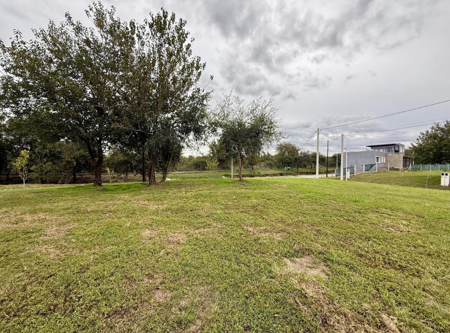 Foto de Tejas 4 - Terreno en venta - 520 m2 - Posesión inmediata!, imagen 2