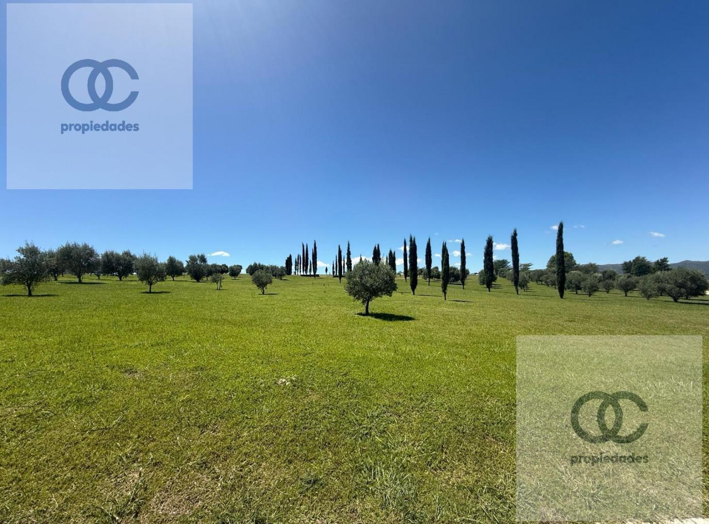 Foto de LOS REARTES - ALTOS DEL CORRAL - 220O METROS - ESCRITURA Y SEGURIDAD 24, imagen 5