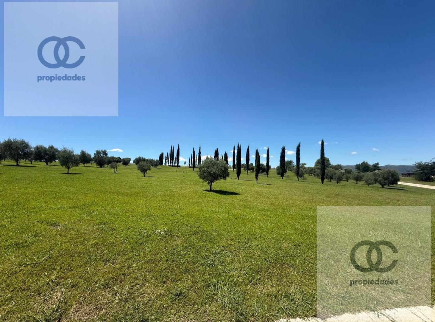 Foto de LOS REARTES - ALTOS DEL CORRAL - 220O METROS - ESCRITURA Y SEGURIDAD 24, imagen 3