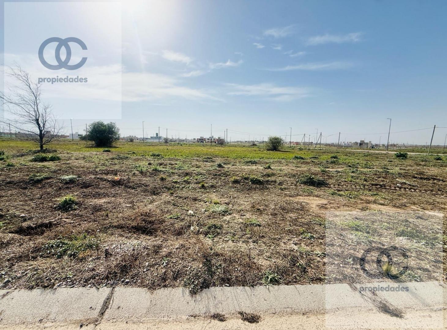 Foto de Lote en venta en Docta Parque - Etapa 6 - Apto Dúplex - 360 m², imagen 4