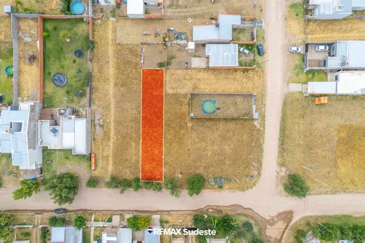 LOTE  SALINAS CHINAS 4200 5