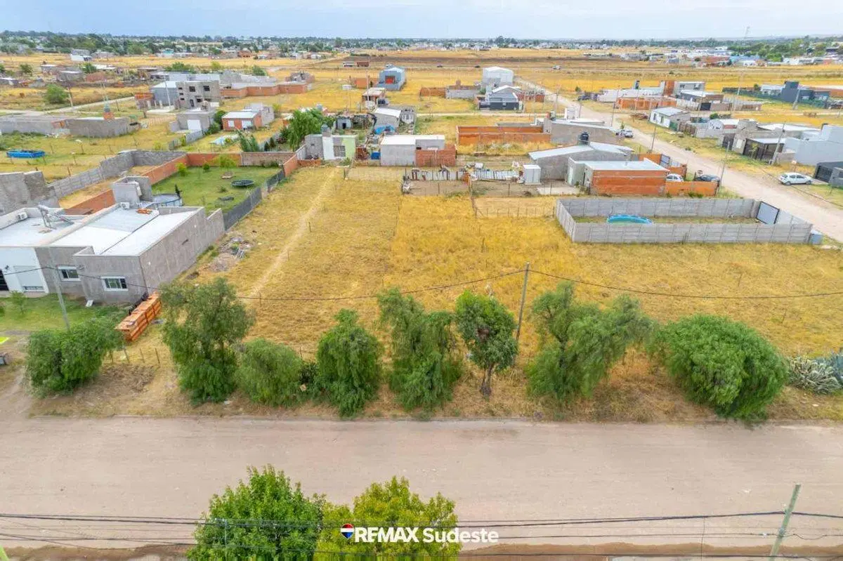 LOTE  SALINAS CHINAS 4200 2
