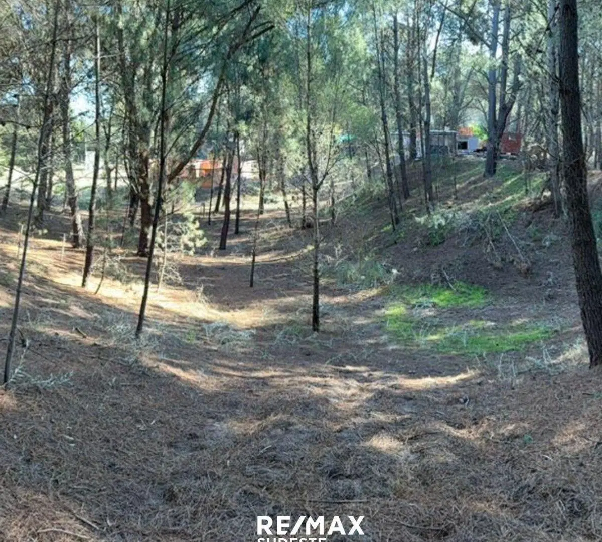 Lote arbolado en Balneario Sauce Grande 3