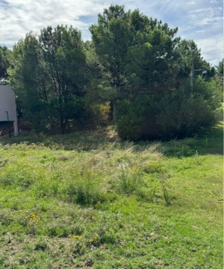 VENTA LOTE AVD SANSOT Y EL GAVILAN - MONTE HERMOSO 3