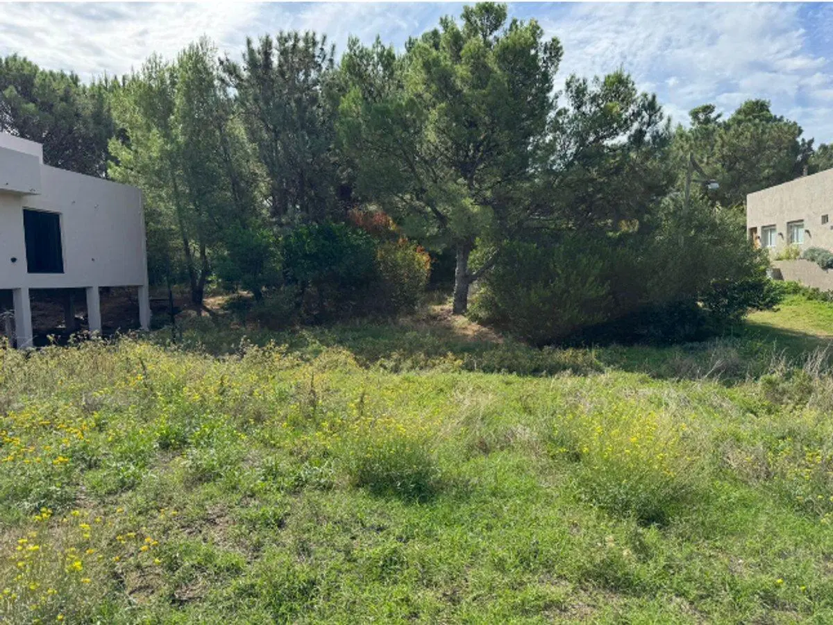 VENTA LOTE AVD SANSOT Y EL GAVILAN - MONTE HERMOSO 2