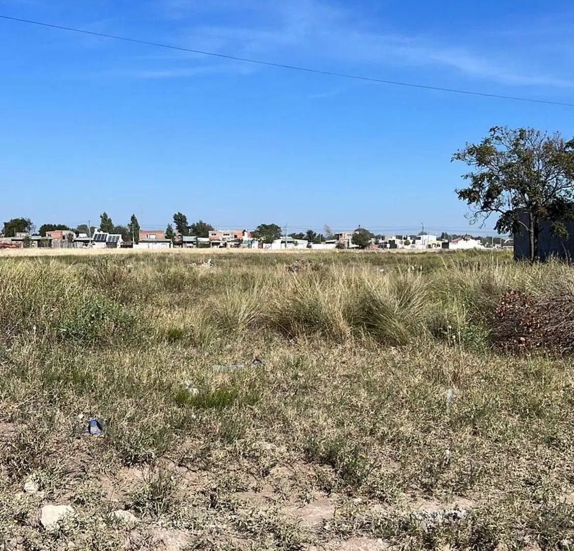 VENTA LOTE ESTOMBA AL 3000 2