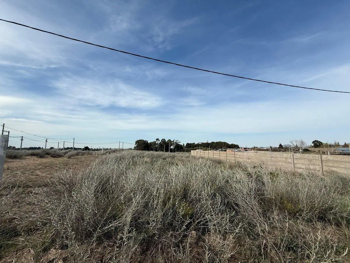 GRAN LOTE EN VENTA EN PUNTA ALTA 3