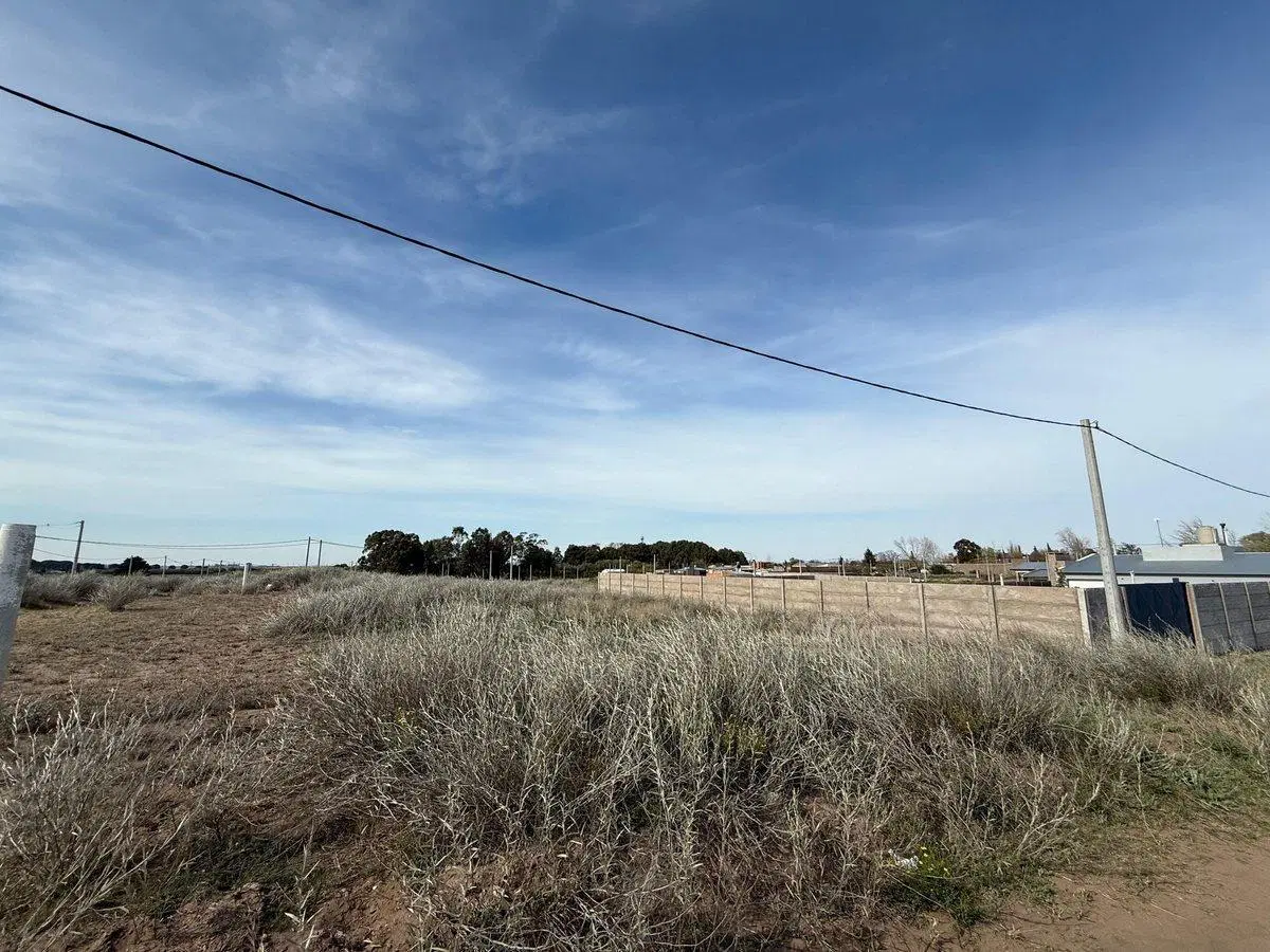 GRAN LOTE EN VENTA EN PUNTA ALTA 4
