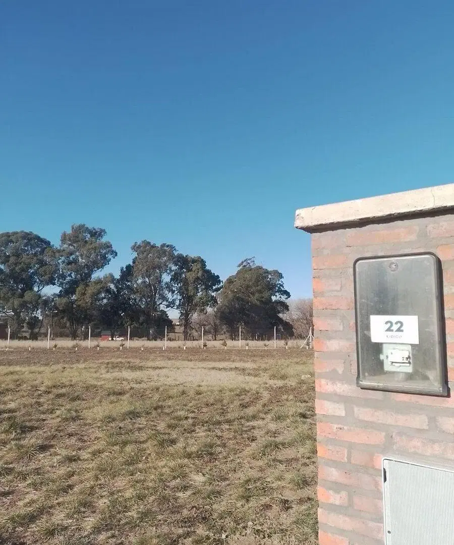 LOTE CERCADO Y PAQUIZADO EN VERBENAS 1 5