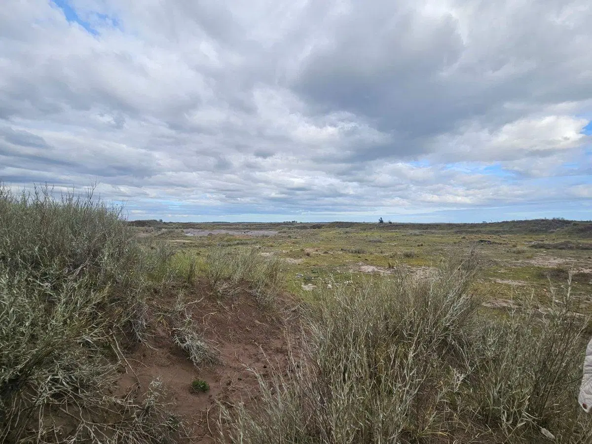 Terrenos en Venta Punta Alta 4